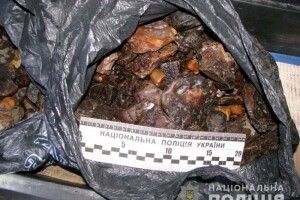 У волинському селі з бурштиновою мафією «боротиметься» столичний поліцейський