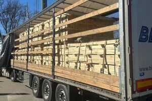 Волинський ліс не доїхав до Польщі: на митниці затримали вантажівку з фальшивими документами