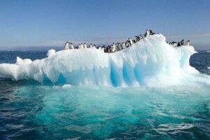 Вперше за історію Антарктики температура перевищила 20 градусів