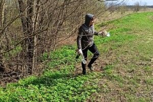 Юні лісівники Любешівського ліцею зробили природі добре (Фото)