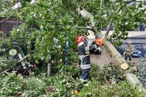 Через негоду в Україні без електрики залишилися понад 60 населених пунктів