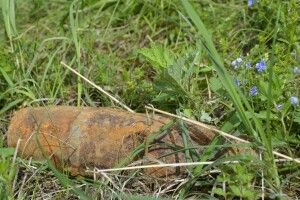 На Любомльщині знешкодили понад 250 боєприпасів Другої Світової Війни 