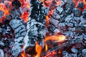 Волинянин зібрав жар у... пластмасове відро