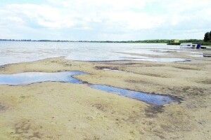 Чому міліє Світязь: вчені дали відповідь
