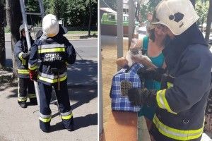 Рівненські рятувальники провернули спецоперацію «Кіт»