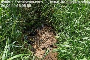 Муніципали чатували на лучанку, яка виливала помиї поблизу будинку