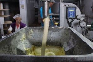 Рожищенський сирзавод змінив прописку?