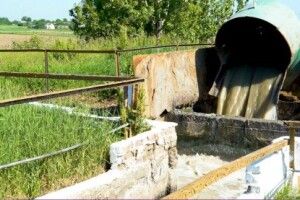 Цукровий завод заплатить 20 тисяч тим, хто допоможе виявити несанкціоновані скиди на їхні поля фільтрації 