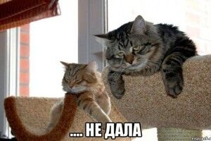 У Франції суд визнав жінку злісною порушницею шлюбних зобов'язань: зловмисниця відмовляла в інтимній близькості рідному чоловікові