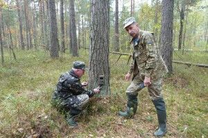 Нацпарк «Прип'ять-Стохід» покаже, хто втрапив у розставлені на його території фотопастки (Фото)