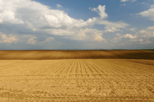 У Луцьку в орендаря хочуть забрати земелю вартістю майже 21 мільйон гривень