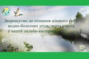 Волинян запрошують на «болотний» конкурс