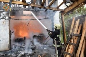 Вогонь піднявся на кілька метрів: у селі під Луцьком горів хлів (Відео моменту)