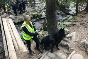 На Говерлі від учорашнього вечора шукають шестирічного хлопчика, який відстав від групи туристів (Фото)