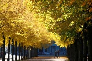 Синоптики пообіцяли українцям теплі вихідні