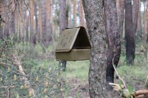 З укупорки для боєприпасів наші бійці на фронті зробити годівничку для птахів (Фото)