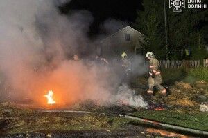 Вночі на Ковельщині спалахнув хлів з конем