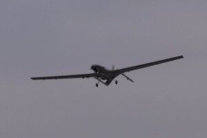 Теж хочуть взяти «участь у цій битві»: поляки 