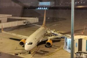 Одна з українок не полетіла з Китаю через любов до собаки. Куди везуть інших – влада не повідомляє