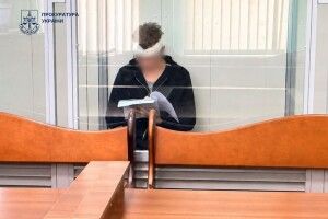 Жодної застави та перевірка психіки: суд ухвалив рішення щодо нападника на лікарку ВЛК у Києві
