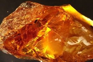На Рівненщині викрили кримінальних старателів 
