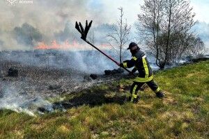 На Волині рятувальники борються з пожежею сухостою та торфу