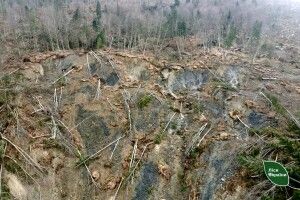 На Закарпатті утворилося провалля