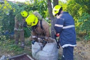 Тіло скинув у колодязь: син по-звірячому вбив матір (Фото)