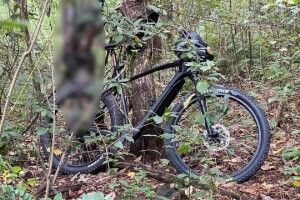 У лісі грибники знайшли повішеним чоловіка, який зник ще на початку червня