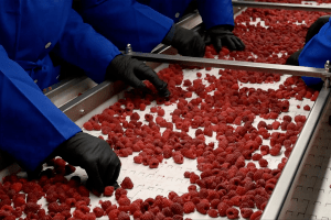 На Горохівщині хочуть реалізувати великий проєкт