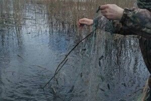 Волинянин заплатить штраф за рибне браконьєрство у нерестовий період на одному з озер Шаччини 