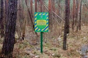 На Волині взяли під охорону 91 гектар пралісу