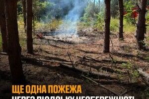 В курортному селі на Волині вогонь швидко поширився по сухій траві