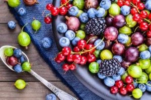 Підсумки ягідного сезону в Україні