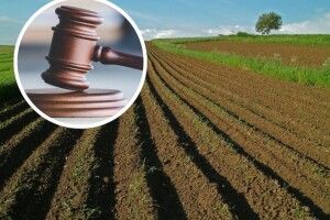 На Волині прокуратура вимагає від фермера повернути громаді 95 гектарів землі