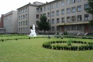 Стовпи диму: біля Луцького пологового будинку працювали два підрозділи рятувальників