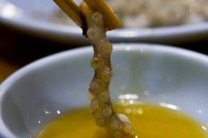 У Швеції відкрили музей з найогиднішою їжею з усього світу