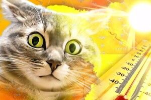 На Волинь ідуть спекотні вихідні