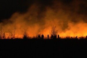 У Луцькому районі пожежа знищила велику площу сухостою (Відео)