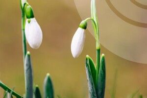 Якою буде погода на Волині