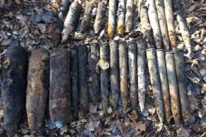 У Зубильному грибники знайшли вибохонебезпечні предмети