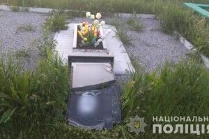 Вандалами, які вчинили погром на кладовищі, виявилися... діти віком 6, 9, 10 та 11 років