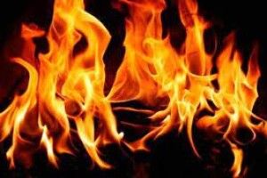 На Рівненщині в пожежі загинули тварини