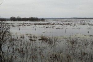 Підтоплення на Волині: у Стоході вода спадає, у Прип’яті - прибуває