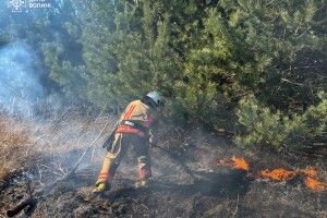 На Волині знову підпалили сухостій – горіло понад 4 гектари (Фото)