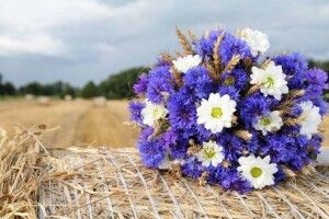 Якою буде погода в ці дні на Волині