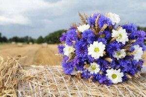 Прогноз погоди на серпень-2022: яким буде останній місяць літа