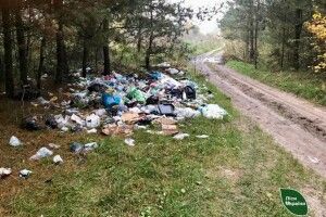 На Волині знайшли спосіб воювати з любителями залишити сміття в лісі 