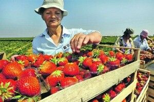 У Польщі підтримають трудових мігрантів з України