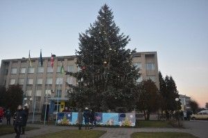 Засяяла головна ялинка Любешова 